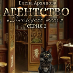 книга Агентство «Последний шанс». Серия 2