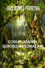 книга Cəsur Joananın qəribə  macəraları