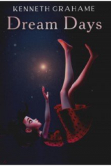 книга Dream Days