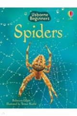 книга Spiders