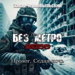 Книга Без метро 2055. Пролог. Седая ночь на ReadRate.com книга Без метро 2055. Пролог. Седая ночь