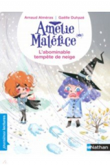 книга L'abominable tempête de neige