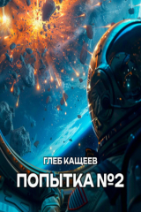 книга Попытка номер два