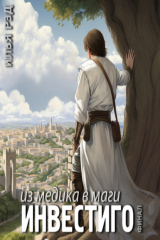 книга Инвестиго. Из медика в маги. Том 6. Финал