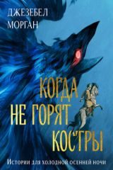 книга Когда не горят костры
