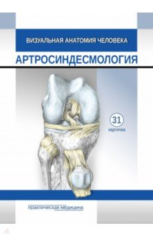 Книга Визуальная анатомия человека. Артросиндесмология. Карточки, 31 штука на ReadRate.com книга Визуальная анатомия человека. Артросиндесмология. Карточки, 31 штука