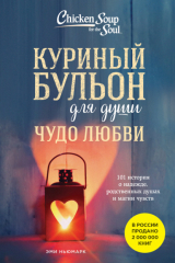 книга Куриный бульон для души. Чудо любви. 101 история о надежде, родственных душах и магии чувств