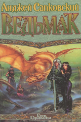 книга Ведьмак