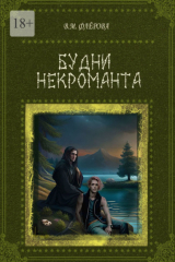 книга Будни некроманта