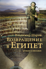 книга Возвращение в Египет