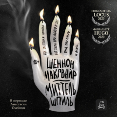 книга Миттельшпиль