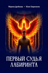 книга Первый судья Лабиринта