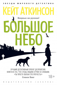 Книга Большое небо на ReadRate.com книга Большое небо