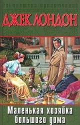 книга Маленькая хозяйка большого дома