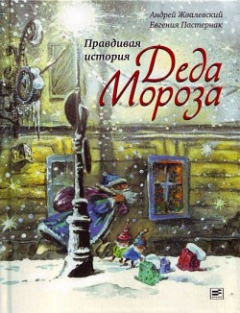 Книга Правдивая история Деда Мороза на ReadRate.com книга Правдивая история Деда Мороза