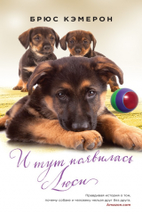 книга И тут появилась Люси