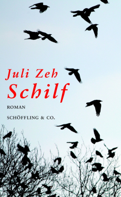 Книга Schilf на ReadRate.com книга Schilf