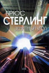 книга Зенитный угол