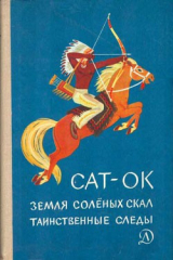 книга Таинственные следы