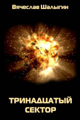 книга Тринадцатый сектор