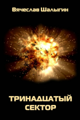 книга Тринадцатый сектор