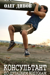 книга Консультант по дурацким вопросам