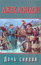 книга Сын Волка