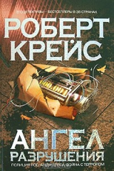 книга Ангел разрушения