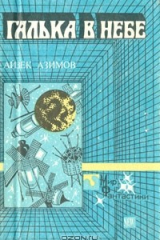 книга Галька в небе