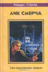 книга Лик смерча