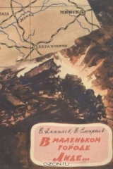 книга В маленьком городе Лиде…