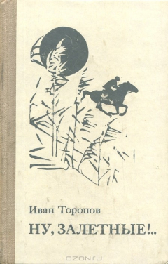 Книга Ну, залетные!.. на ReadRate.com книга Ну, залетные!..