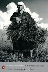 книга A Russian Journal