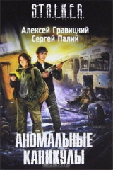 книга Аномальные каникулы