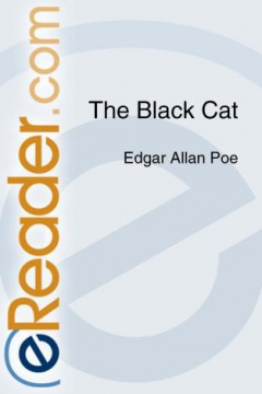 книга The Black Cat