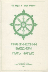 книга Практический буддизм. Путь Кагью