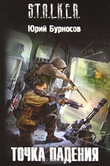 книга Точка падения