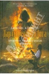 книга Хроники убийцы богов. Книга 2. Дар сгоревшего бога