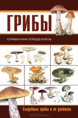 книга Грибы. Ягоды и плоды. Справочник-определитель