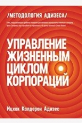 книга Управление жизненным циклом корпораций. Managing corporate lifecycles