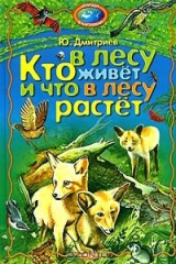 книга Кто в лесу живет и что в лесу растет