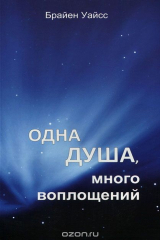 книга Одна душа, много воплощений