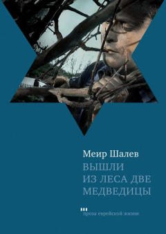 Книга Вышли из леса две медведицы на ReadRate.com книга Вышли из леса две медведицы