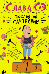 книга Последний сантехник