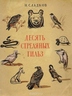 Книга Десять стреляных гильз на ReadRate.com книга Десять стреляных гильз