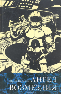 книга Ангел Возмездия