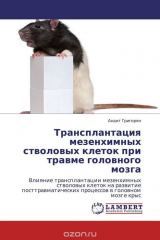 книга Трансплантация мезенхимных стволовых клеток при травме головного мозга