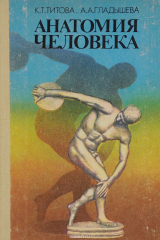 книга Анатомия человека