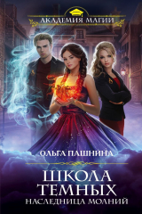 книга Школа темных. Наследница молний