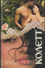 книга Ангел мой